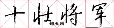 十壯將軍怎么寫好看