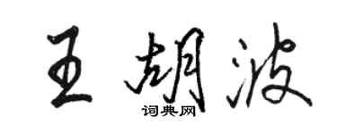 駱恆光王胡波行書個性簽名怎么寫