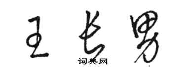 駱恆光王長男草書個性簽名怎么寫