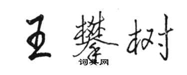 駱恆光王攀樹行書個性簽名怎么寫