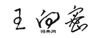 駱恆光王向密草書個性簽名怎么寫