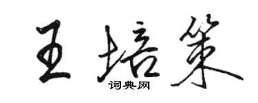 駱恆光王培策行書個性簽名怎么寫