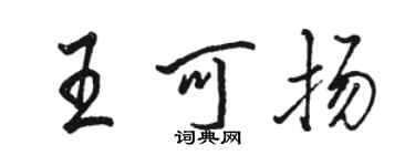 駱恆光王可揚行書個性簽名怎么寫