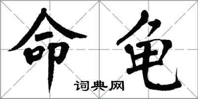 翁闓運命龜楷書怎么寫