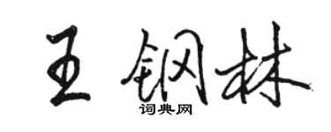 駱恆光王鋼林行書個性簽名怎么寫