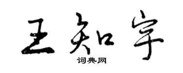 曾慶福王知宇行書個性簽名怎么寫