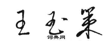 駱恆光王玉策草書個性簽名怎么寫