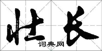 胡問遂壯長行書怎么寫