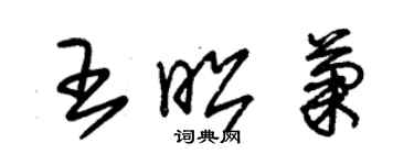 朱錫榮王昭菊草書個性簽名怎么寫