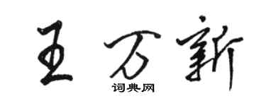 駱恆光王萬新行書個性簽名怎么寫