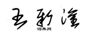 朱錫榮王新淦草書個性簽名怎么寫