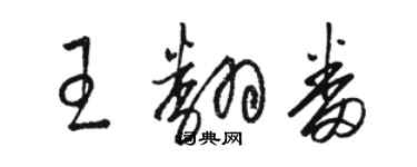 駱恆光王翻番草書個性簽名怎么寫