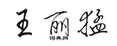 駱恆光王麗猛行書個性簽名怎么寫