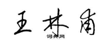 梁錦英王林甫草書個性簽名怎么寫