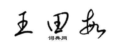 梁錦英王田敏草書個性簽名怎么寫