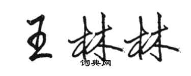 駱恆光王林林行書個性簽名怎么寫