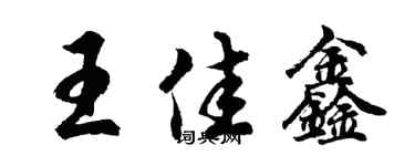 胡問遂王佳鑫行書個性簽名怎么寫