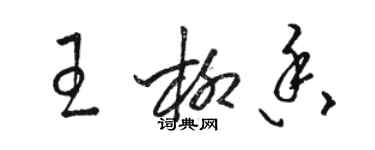 駱恆光王柳香草書個性簽名怎么寫