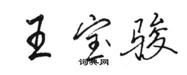 駱恆光王寶駿行書個性簽名怎么寫