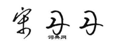 駱恆光宋丹丹草書個性簽名怎么寫