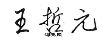 駱恆光王哲元行書個性簽名怎么寫