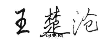 駱恆光王楚滄行書個性簽名怎么寫