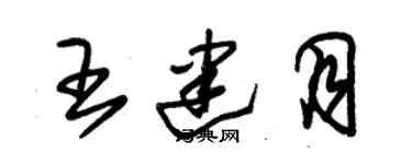 朱錫榮王建月草書個性簽名怎么寫
