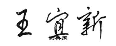 駱恆光王宜新行書個性簽名怎么寫