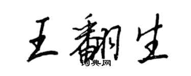 王正良王翻生行書個性簽名怎么寫