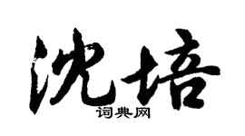 胡問遂沈培行書個性簽名怎么寫