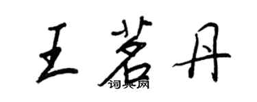 王正良王茗丹行書個性簽名怎么寫