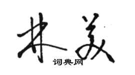 駱恆光林美草書個性簽名怎么寫