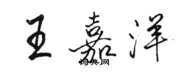 駱恆光王嘉洋行書個性簽名怎么寫