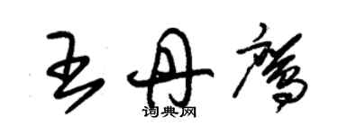 朱錫榮王丹鷹草書個性簽名怎么寫