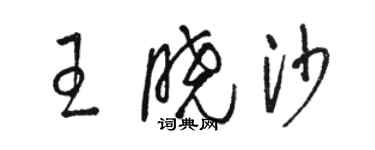 駱恆光王曉沙草書個性簽名怎么寫