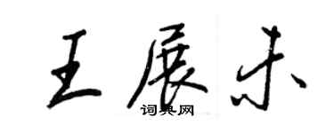 王正良王展未行書個性簽名怎么寫