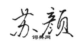 駱恆光蘇顏行書個性簽名怎么寫