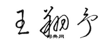 駱恆光王翔予草書個性簽名怎么寫