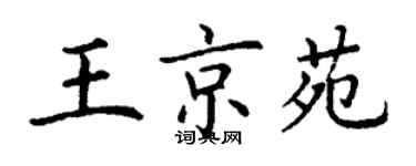 丁謙王京苑楷書個性簽名怎么寫