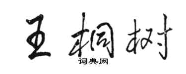 駱恆光王桐樹行書個性簽名怎么寫
