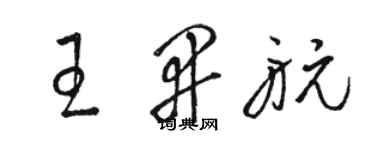 駱恆光王開航草書個性簽名怎么寫