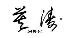 朱錫榮莫濤草書個性簽名怎么寫