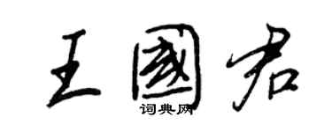 王正良王國君行書個性簽名怎么寫