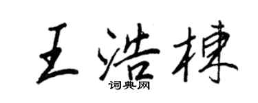 王正良王浩棟行書個性簽名怎么寫