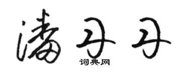 駱恆光潘丹丹草書個性簽名怎么寫