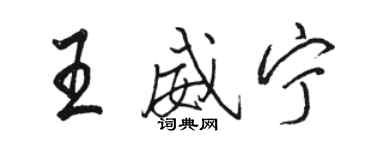 駱恆光王威寧行書個性簽名怎么寫