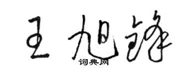 駱恆光王旭鋒草書個性簽名怎么寫