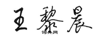 駱恆光王黎晨行書個性簽名怎么寫