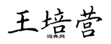 丁謙王培營楷書個性簽名怎么寫