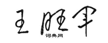 駱恆光王旺軍草書個性簽名怎么寫